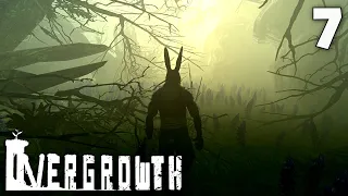 Лес ✣ Overgrowth #7