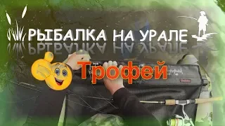 Щука Трофей ,Рыбалка сплавом !