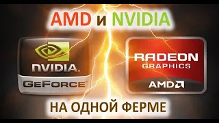 Майнинг на AMD и NVIDIA одновременно на одной ферме. Можно ли?