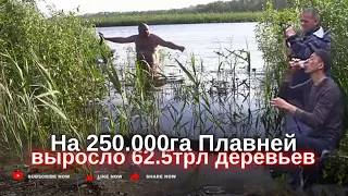 Озёра Плавней наполняются водой. Природа возрождается 21 Апрель 24г. Запорожье.