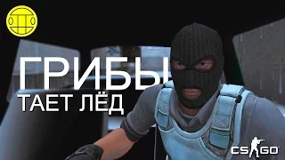 ГРИБЫ ТАЕТ ЛЁД (CS GO ПАРОДИЯ) by Kirito