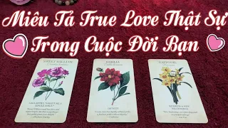 💜Miêu Tả True Love Thật Sự Trong Cuộc Đời Bạn🥰💖😘💋🌈#tarot #vtarot #xemtarot