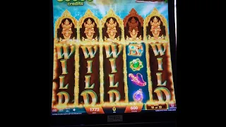 Jackpot Handpay on Golden Jungle Grand Slot Machine High Limit