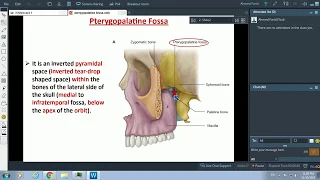 The Pterygopalatine fossa - Dr. Ahmed Farid