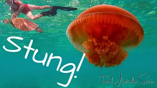 STUNG by Jellyfish / Ningaloo Reef's BEST Turtle Snorkelling? / Canyon 4WD / Travel Australia Vlog