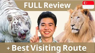 The ONLY Right Way To Visit Singapore Zoo - The Best Zoo in Asia