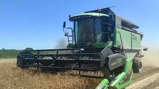 Bioerbsen dreschen mit einem Deutz Fahr HTS 6060