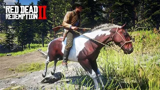 O DOMADOR DE CAVALOS - ROUBANDO CAVALO de Bandido - Red Dead Redemption 2