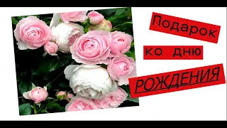 Шикарный подарок ко дню рождения. Цветы 10000 рублей #ЕленаСитникова #своимируками