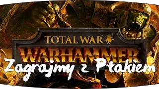 #2 Zagrajmy w Warhammer: Total War - Nauka prowadzenia bitew [Lets play PL Ptak Online]