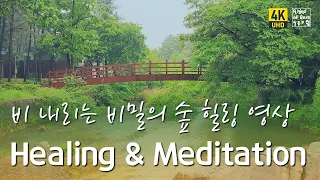 [ 편안한 힐링영상 ] 스트레스 해소 음악, 비밀의 숲, 휴식, 빗소리, 벌레소리, 명상음악, Healing Meditation, 5분명상