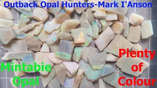 Outback Opal Hunters "The Blacklighters" Mark I'Anson Cheap Rough Mintabie Opal (Parcel Unboxing)