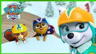 "Mighty Mountain : Paw Patrol's Quest to Everest Revealed!"