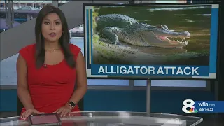 St Petersburg woman seriously injured in Alligator attack