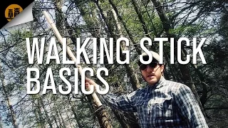 Walking Stick Basics