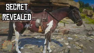 RDR2 - Revealing The Secret | The Mystery of The Rare Mahogany Bay Tennessee Walker