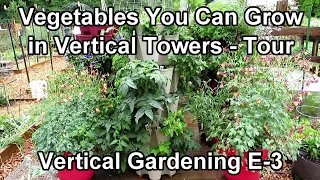 Vertical Gardening: Tower Growth Update - Amazing Tomatoes, Basil, Greens, Peppers, Herbs  & More
