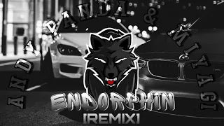 Andy Panda & Miyagi - Endorphin [REMIX]