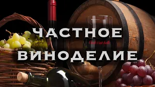 частное виноделие | винзавод массандра | коктебель |виноград |винодельня |  влог