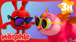 Morphle is So WHO-ool 😎🦉 | Stories for Kids | Morphle Kids Cartoons