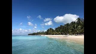 Saona Island Trip - Dominican Republic