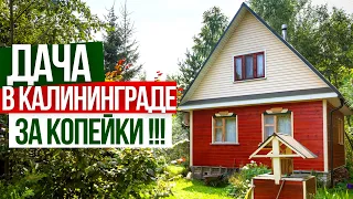 КУПИТЬ ДАЧУ в Калининграде ЗА КОПЕЙКИ !!! ШОК Цена!