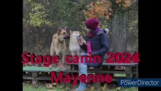 Stage canin mars 2024 - Mayenne