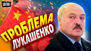 Усатый диктатор догавкался! Слетевший с катушек Лукашенко стал проблемой для Китая