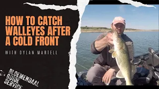 How To Catch Walleyes After a Massive Weather Front with Dylan Martell