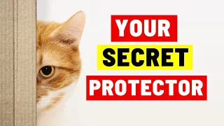10 Signs Your Cat Is PROTECTING You