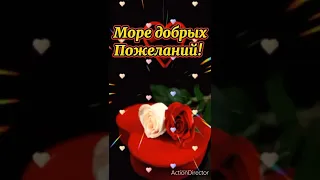 Шлю тебе теплый приветик!