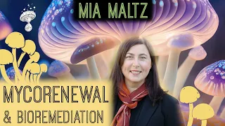 Mycorenewal - Ecological Restoration, Microbial Ecology & Bioremediation | Mia Maltz PhD