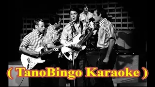 The Beach Boys - Keep an eye on summer ( TanoBingo Karaoke )