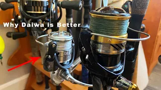 Why Daiwa is Better Than Shimano