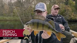 Perch fishing with soft lures - Westin-Fishing