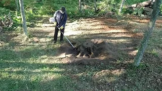Remove a giant oak tree stump in 30 min. with a brush saw...