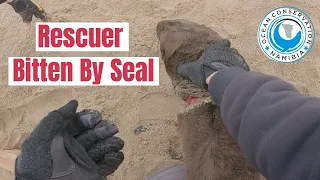 Rescuer gets BITTEN by Seal