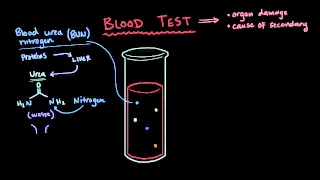 Diagnosis of hypertension | Circulatory System and Disease | NCLEX-RN | Khan Academy