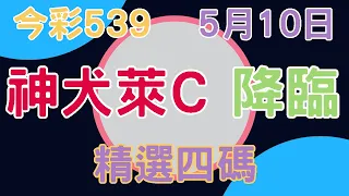 【今彩539】神犬萊C降臨!! ｜精選四碼👍今晚～摘星｜5月10日