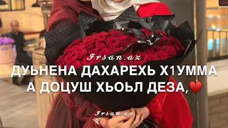 Чеченская песня Дуьнена дахарехь х|умма а доцуш хьоьл деза