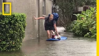 Watch Photographer Evacuate Mom and Dogs From Harvey's Devastating Flooding | National Geographic