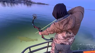 BowFishing Hundreds of BIG Fish in Gin Clear Water!