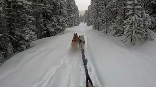 Perfect Laps