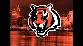 Cincinnati Bengals tribute