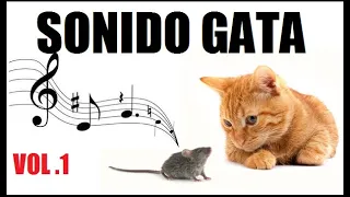 SONIDO de 🔴GATOS MAULLANDO FUERTE🔴 para 🔴ESPANTAR RATONES(VOL.1)