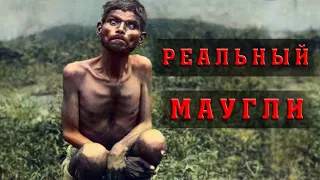 Каким был реальный Маугли, ставший прообразом героя Киплинга