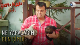 Şuayip Derdini Kurda Kuşa Anlattı! - Çatı Katı Aşk 11.Bölüm