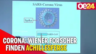 Wiener Forscher finden Achillesferse des Coronavirus