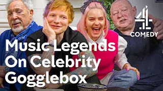 Best of Ed Sheeran, Anne-Marie & MORE | Celebrity Gogglebox