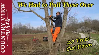 Cutting down trees in old fence row along driveway.  Doesn't always go as planned.